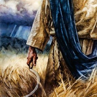 Telegram profile photo for The Rising Harvest