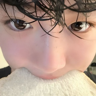 Telegram profile photo for panino