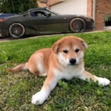 Telegram profile photo for ПЕРЕЕЗД