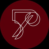 Telegram profile photo for Студия 50/50: спорт как искусство