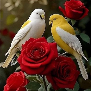 Telegram profile photo for گروه ادبی و دوستانه