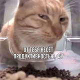 Telegram profile photo for Шпроттии