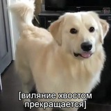 Telegram profile photo for •Дом у трамвайного кольца•
