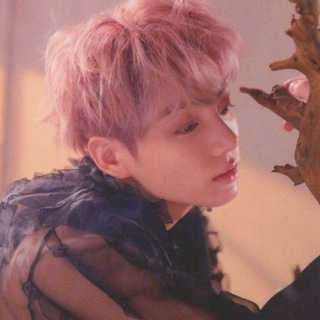 Telegram profile photo for ㅤminikook
