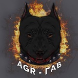 Telegram profile photo for 𝐀𝐆𝐑 Г𝐀𝐁