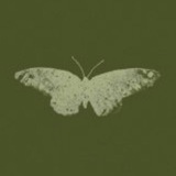 Telegram profile photo for naamafhoom
