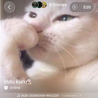 Telegram profile photo for baiyo awak