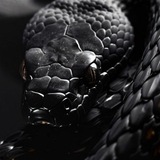 Telegram profile photo for ꯭🌸꯭𝅀꯭🐍꯭𝅀ᴢ̈́̈́͟͞ᴀ̈́̈́͟͞ʜ̈́͟͞ᴀ̈́̈́͟͞ʀ̈́̈́͟͞ᴄ̈́̈́͟͞ʜ̈́͟͞ᴀ̈́̈́͟͞𝅀꯭💜꯭𝅀꯭✾