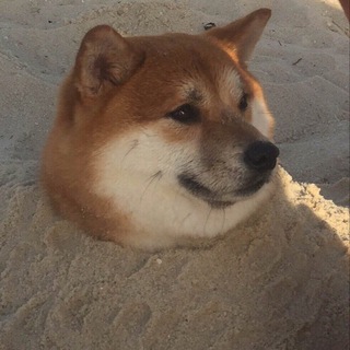 Telegram profile photo for Ленивые размышления о безысходности
