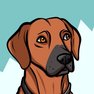Telegram profile photo for ARKY PORTAL