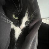 Telegram profile photo for вишесть