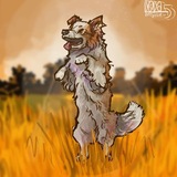Telegram profile photo for ℝ𝕐ℤ𝕙𝕀𝕁 𝔹𝕆𝕃𝔻𝔼ℝ🔥
