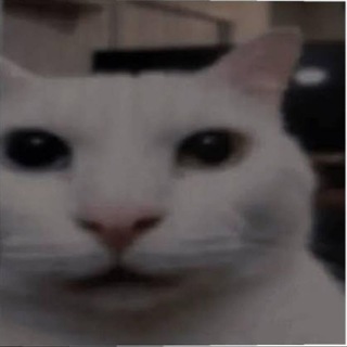 Telegram profile photo for DEVELOPER COMMANDS