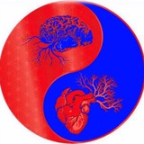 Telegram profile photo for Liverpool Freedom & Health