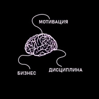 Telegram profile photo for Мотивация vs Дисциплина | Бизнес