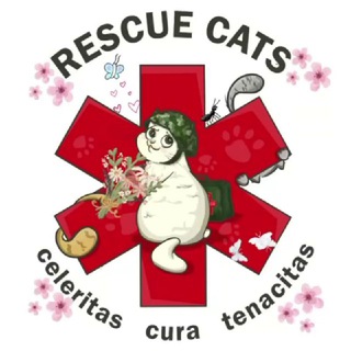 Telegram profile photo for RESCUE CATS