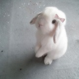 Telegram profile photo for zia