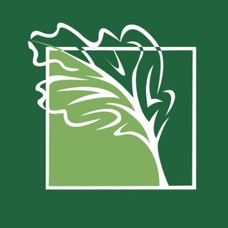 Telegram profile photo for 🇺🇦 Ballyhoura Development для українців