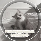 Telegram profile photo for lesiii.k