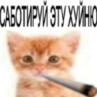 Telegram profile photo for южный парламентарий