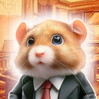 Telegram profile photo for آموزش ایردراپ ها ، رمز نات پیکسل ، تپ سواپ ، نات کوین و ...
