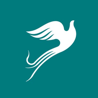 Telegram profile photo for CASPIAN Airlines | هواپیمایی کاسپین