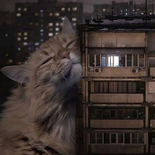 Telegram profile photo for САВАнеСОВА орешки