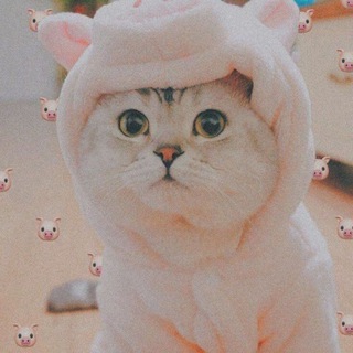Telegram profile photo for ڶــــٓــ ۦَٰ فٰـٰٰོٖٜ͜͡ــــٓــزٖزيــــٓــعٖ͓ٓٚهٰہٰོۡ