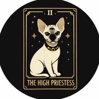 Telegram profile photo for Мисочка таро