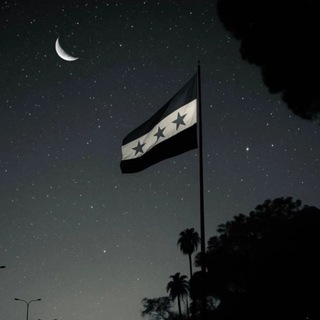 Telegram profile photo for قناة القيادة
