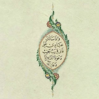 Telegram profile photo for لمشعل المخلّفي
