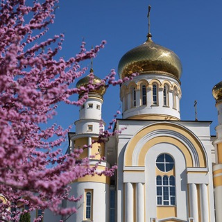Telegram profile photo for Владикавказская и Аланская епархия