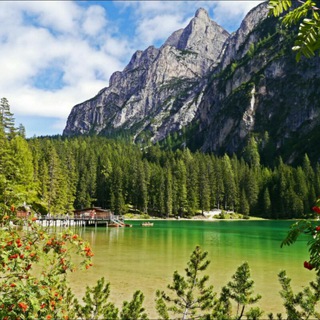 Telegram profile photo for فوائد متنوعة