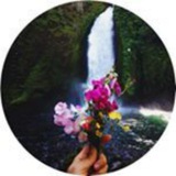 Telegram profile photo for Look Nature