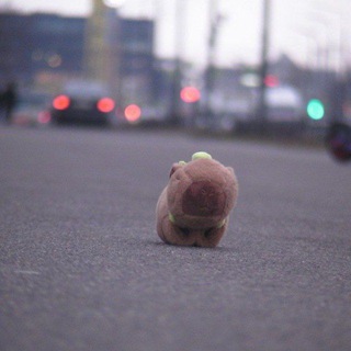 Telegram profile photo for чунга чанга
