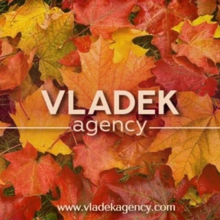 Telegram profile photo for Svetlana Vladek “Vladek Agency”