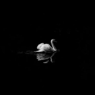Telegram profile photo for 𝑠𝑒𝑣𝑎𝑚𝑢𝑠𝑖𝑐𝑐🦢