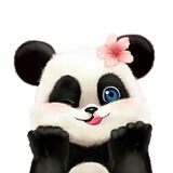 Telegram profile photo for کانال محصولات آرایشی بهداشتی پاندا بیوتی
