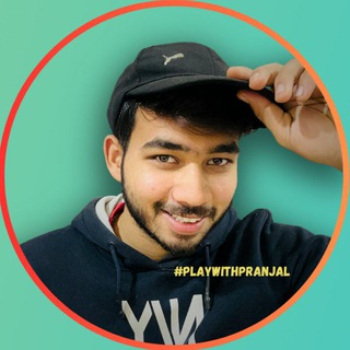 Telegram profile photo for Play With Pranjal 🏏