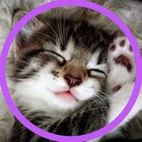 Telegram profile photo for ✨ Доброе утро