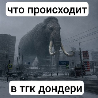 Telegram profile photo for дондери(๑°⌓︎°๑)