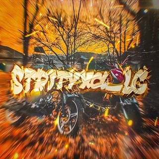 Telegram profile photo for Стритуха 🥷🏿🚀