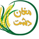 Telegram profile photo for مغان دشت