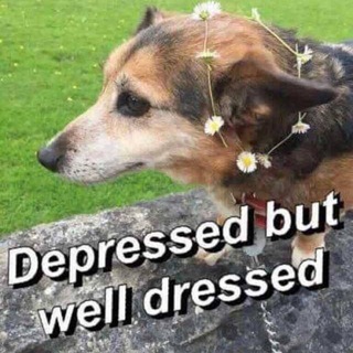 Telegram profile photo for Depression memes