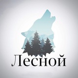 Telegram profile photo for Лесной - Фотографии леса, природы