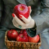 Telegram profile photo for کانال تبادلات پیشــــرو