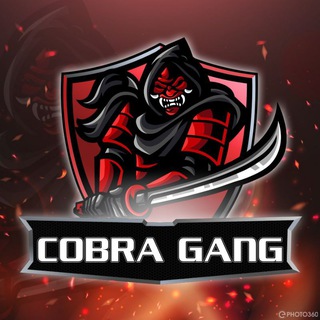 Telegram profile photo for COBRA GANG FREE COURSESS