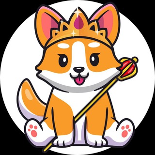 Telegram group profile photo for Queen Floki Inu