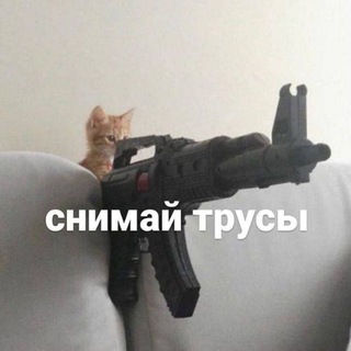 Telegram profile photo for Прикольные кружочки, смешные с Матами Приколы Видосы Эдиты аватарки аниме Аватаки Реданы Оффники Чат Реданы Топ приколы Россия