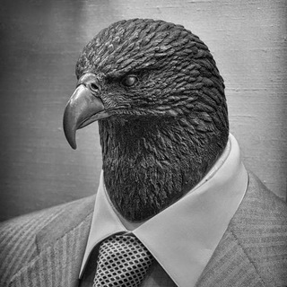 Telegram profile photo for Șoimul Patriei